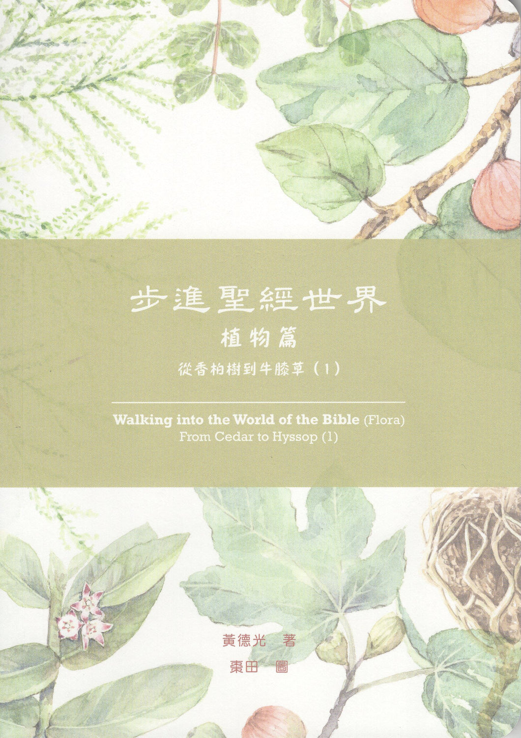 步進聖經世界（植物篇）：從香柏樹到牛膝草（1） #02F-044
